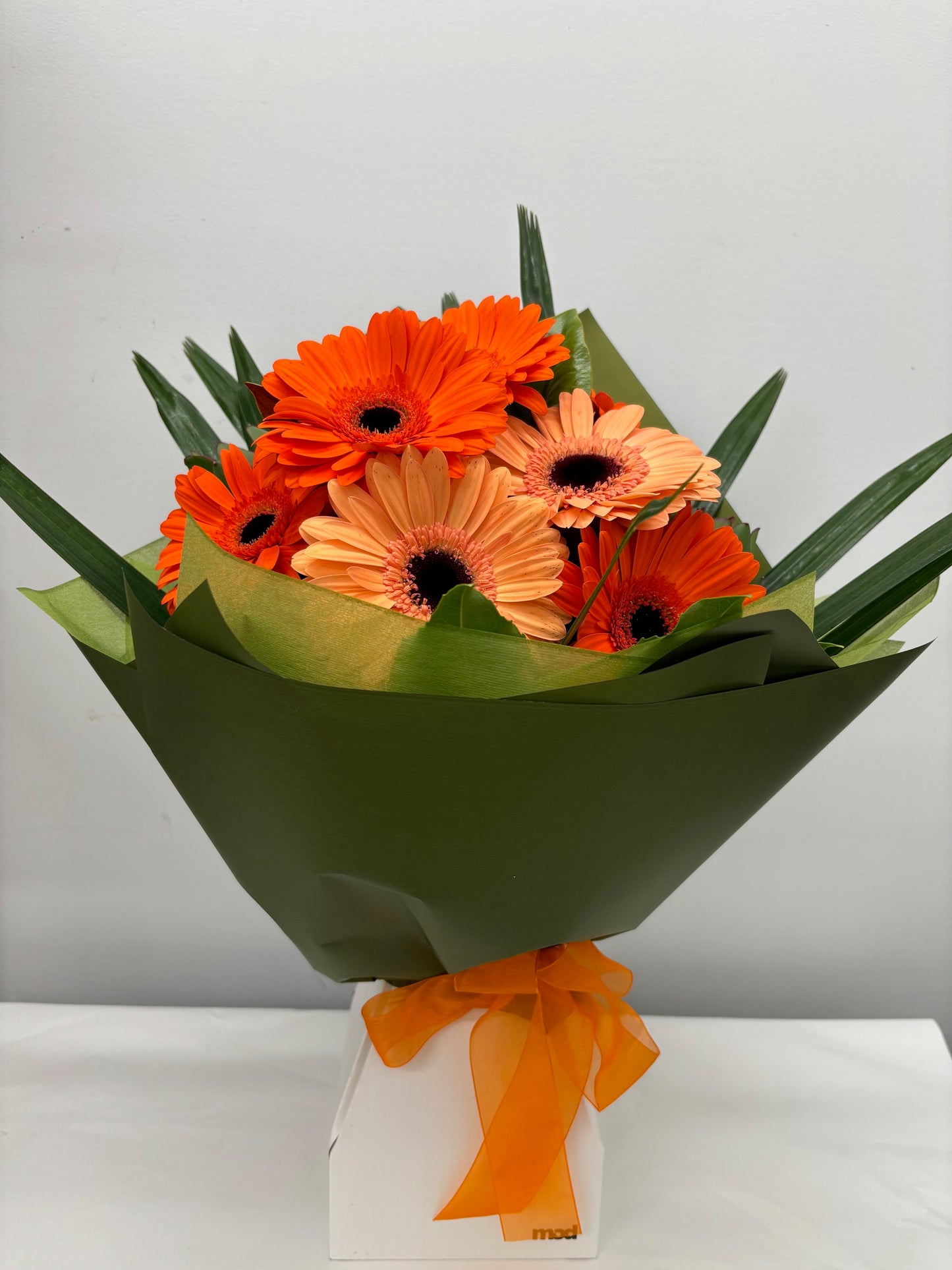 Gerbera Vox Box