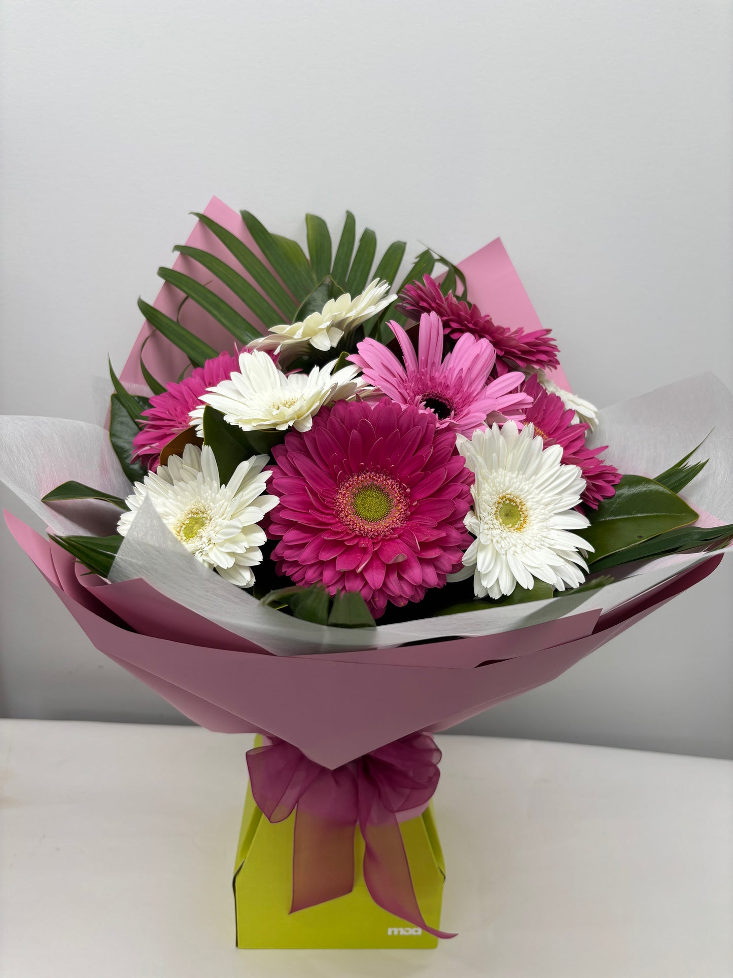 Gerbera Vox Box