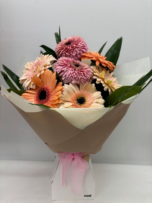 Gerbera Vox Box